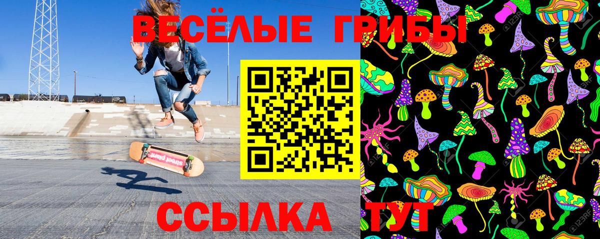 Псилоцибиновые грибы Psilocybine cubensis Пушкино