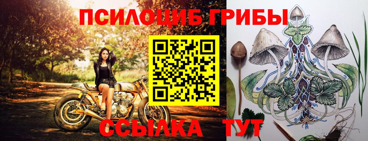 Галлюциногенные грибы MAGIC MUSHROOMS Пушкино